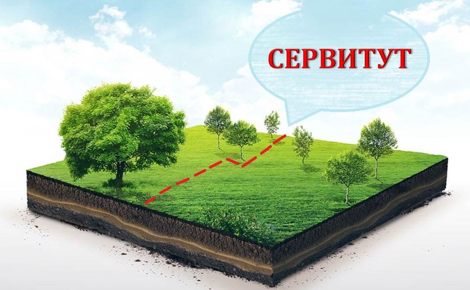 Сообщение № 35/2025 о возможном установлении публичного сервитута.